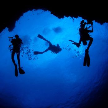 Hilo Ocean Adventures - Swimming Lessons/Schools Near Me - Hilo, Hawaii