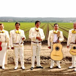 Mariachi California - Mariachi California with their white traje