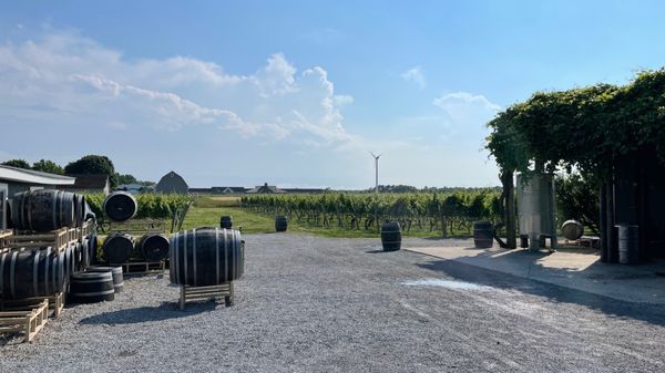 Lenz Winery by null
