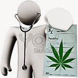 La 420 Doctor
