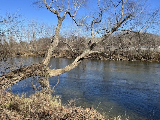 French Broad River Park by null