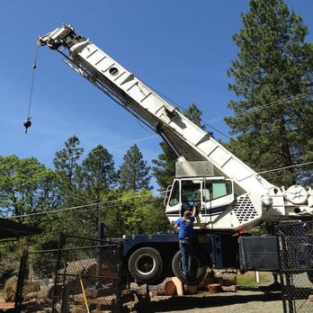 Tree Safe - Tree Services Near Me - Colfax, California