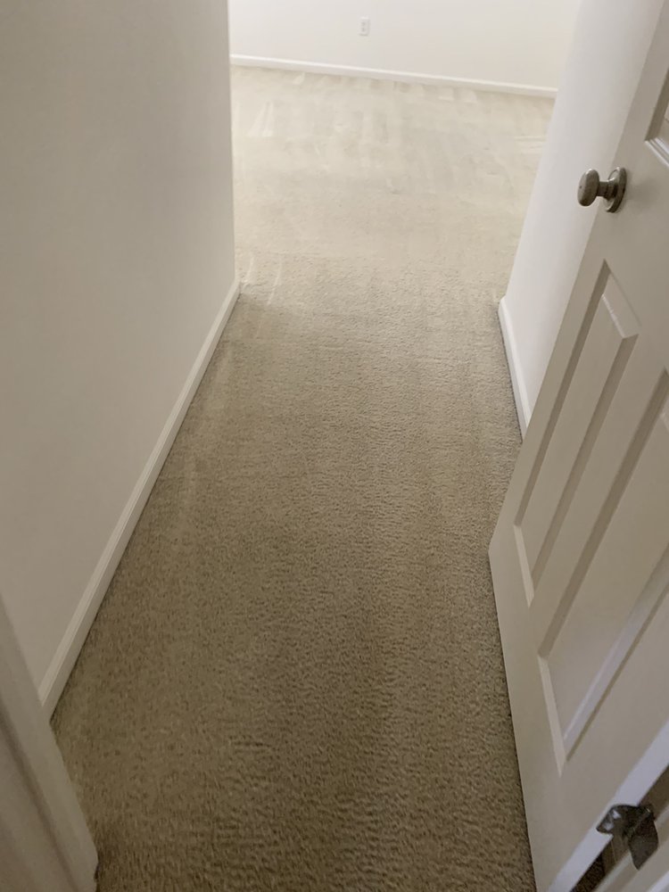 BEST DECISION CARPET & TILE CLEANING Updated September 2024 51