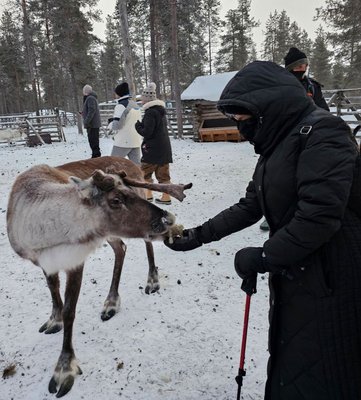 Kakslauttanen Arctic Resort East Village by null