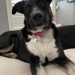 Mia Wallace 2yrs old Mia Wallace 2yrs old