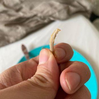 Tadeo's Mexican Restaurant - This is a piece of bone I got in the chicken tamales I took home from Tadeos. - Mexican Near Me - Bellingham, Washington Tadeo's Mexican Restaurant - This is a piece of bone I got in the chicken tamales I took home from Tadeos. - Mexican Near Me - Bellingham, Washington