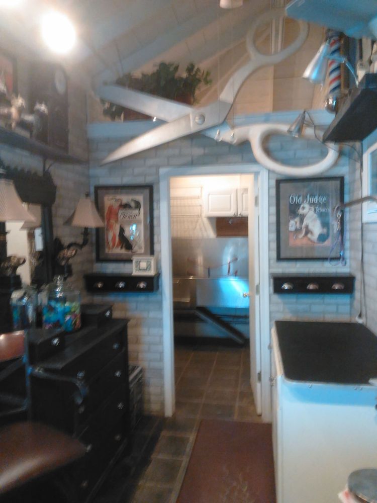 CANINE CREATIONS BY TRACY Updated September 2024 15302 S Joliet Rd, Plainfield, Illinois