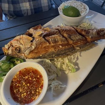 Nine One Five - Crispy Fried Whole Yellowtail Snapper - New American Near Me - Key West, Florida Nine One Five - Crispy Fried Whole Yellowtail Snapper - New American Near Me - Key West, Florida