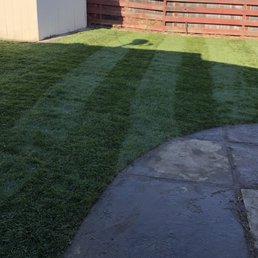 a backyard with a green lawn a backyard with a green lawn