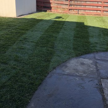 SunCrest Landscaping & Hardscape - a backyard with a green lawn - Landscaping Near Me - Danville, California SunCrest Landscaping & Hardscape - a backyard with a green lawn - Landscaping Near Me - Danville, California