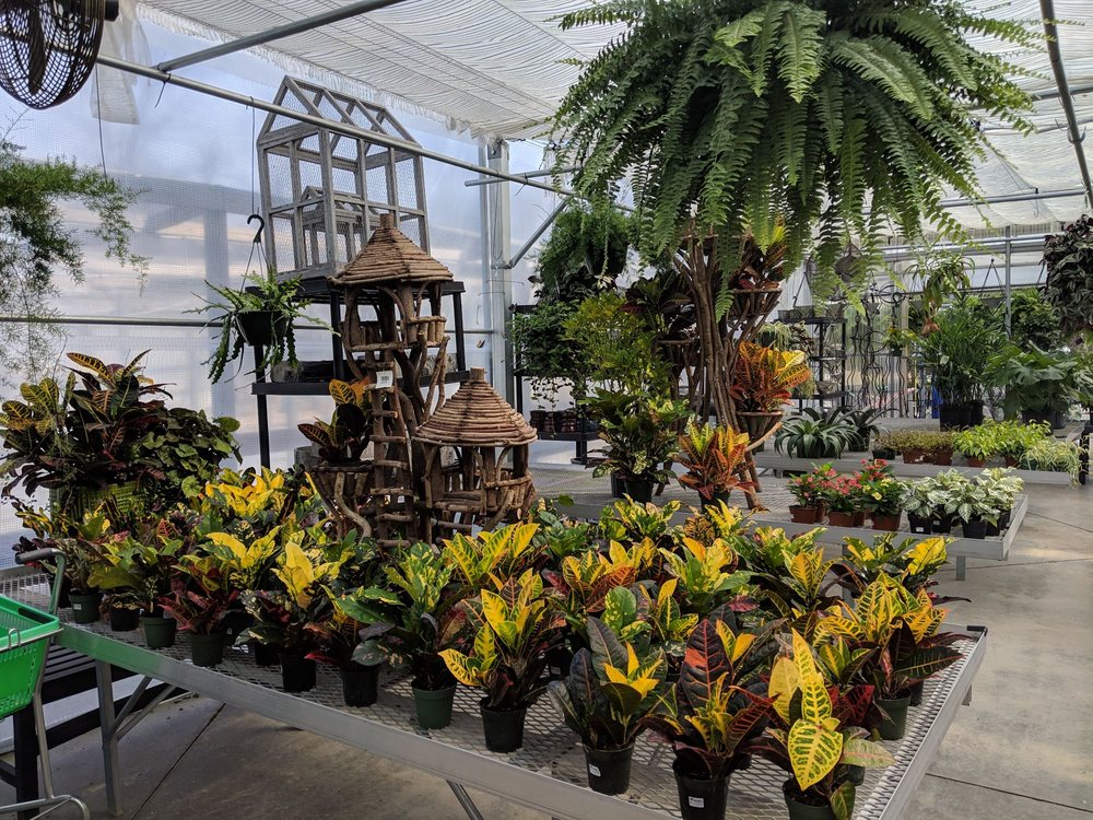 COUNTRY BOY’S 27 Photos & 12 Reviews Nurseries & Gardening 1949