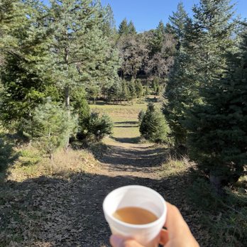 JS Tabacco Ranch - Christmas Trees Near Me - Los Gatos, California JS Tabacco Ranch - Christmas Trees Near Me - Los Gatos, California