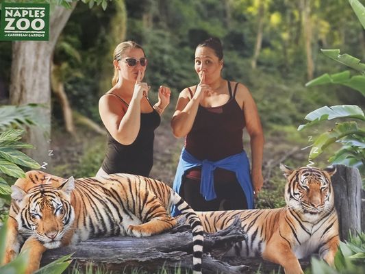 Naples Zoo at Caribbean Gardens by null