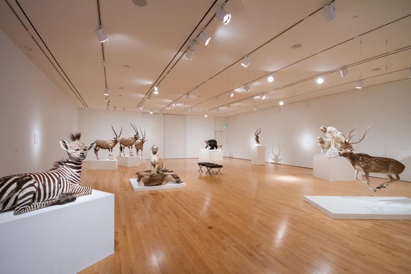 Hilliard Art Museum by null