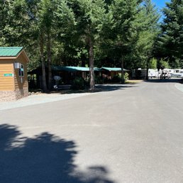 Cabins among the trees. Cabins among the trees.