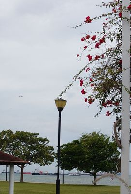 East Coast Park by null