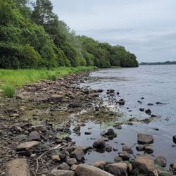 Lough Rynn Castle Hotel - View of the shore