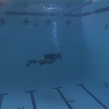 Gigglin' Marlin Dive & Swim - Swimming Lessons/Schools Near Me - Houston, Texas Gigglin' Marlin Dive & Swim - Swimming Lessons/Schools Near Me - Houston, Texas