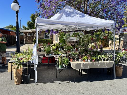 Irvington Farmers' Market by null