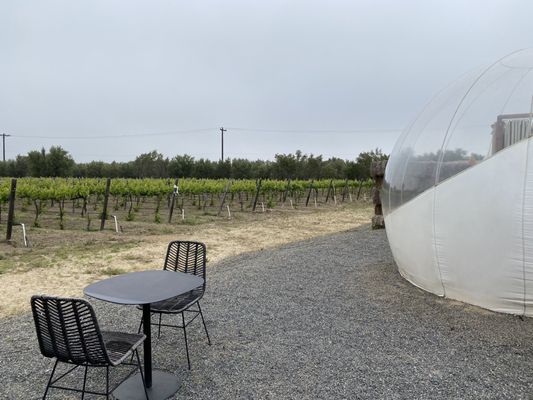 Campera Hotel Bubble by null