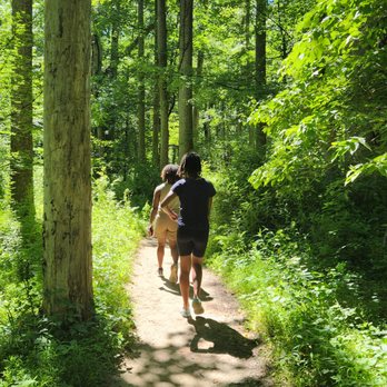 Difficult Run Stream Valley Park - Hiking Near Me - McLean, Virginia