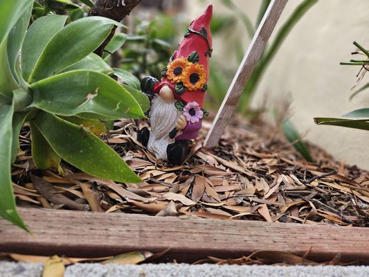 Dutch Garden Restaurant by null