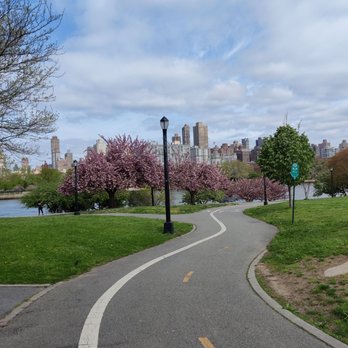 Rainey Park - One of the paths with the cherry blossoms in the background! - Parks Near Me - Astoria, New York