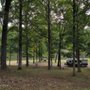 Wayside Park