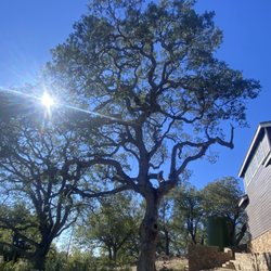 Golden Legacy Tree Service