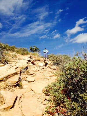 Bear Mountain Trail by null
