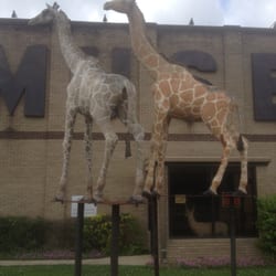 Touchstone Wildlife & Art Museum - I love this museum! 05/11/14