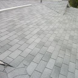 Slide of Dr Roof of Tampa Bay