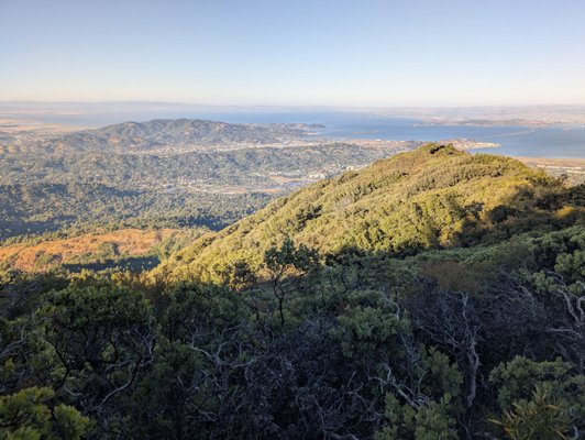 Mount Tamalpais State Park by null