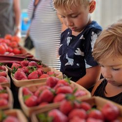 Midwest French Markets
