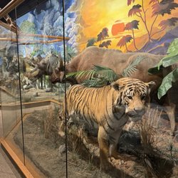 Dacotah Prairie Museum