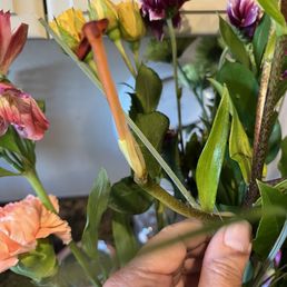 Bouquet