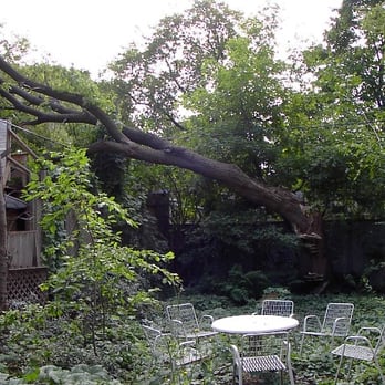 Ontree - Ontree provides Storm and Emergency Response services - Tree Services Near Me - Scarborough, Ontario