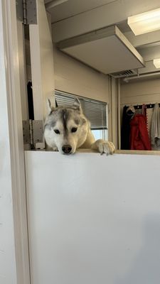 Purina Farms by null