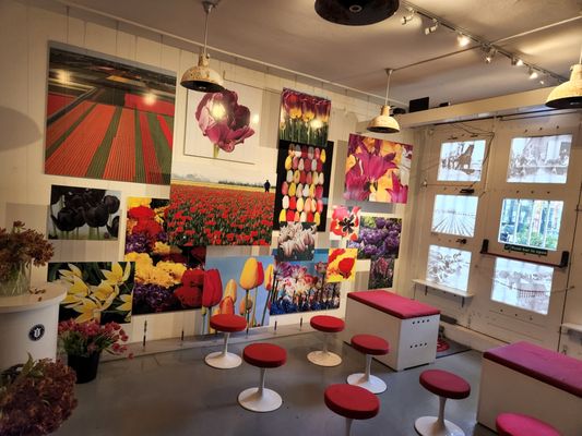 Amsterdam Tulip Museum by null