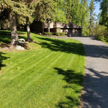 Iron Moose Lawn Company - a driveway leading to a house - Lawn Services Near Me Iron Moose Lawn Company - a driveway leading to a house - Lawn Services Near Me