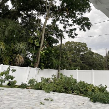 Brian's Quality Tree Care - Tree Services Near Me - Saint Petersburg, Florida Brian's Quality Tree Care - Tree Services Near Me - Saint Petersburg, Florida