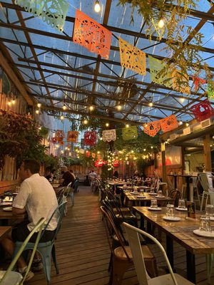 Juno by null Juno by null