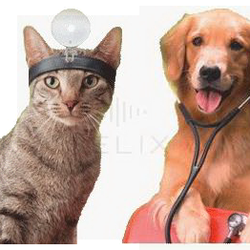 Greenbrier Veterinary Hospital