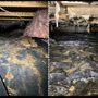 Photo of D&R Drainage Systems