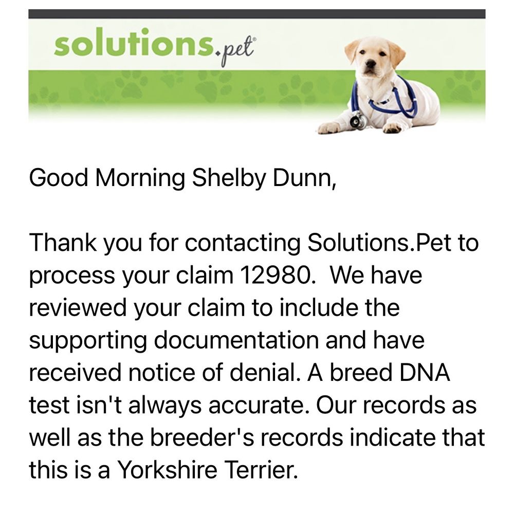 XO PUPS Purebred & Designer - Response from pet solutions - Pet Breeders Near Me - Chantilly, Virginia XO PUPS Purebred & Designer - Response from pet solutions - Pet Breeders Near Me - Chantilly, Virginia