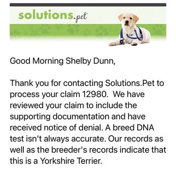 XO PUPS Purebred & Designer - Response from pet solutions - Pet Breeders Near Me - Chantilly, Virginia XO PUPS Purebred & Designer - Response from pet solutions - Pet Breeders Near Me - Chantilly, Virginia