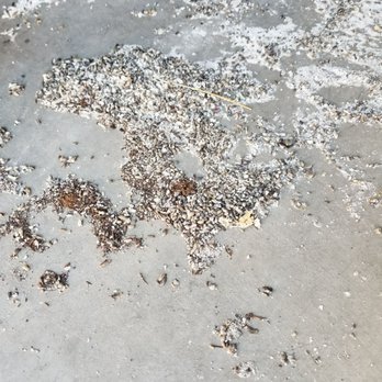 A-1 Self Storage - Unbelievable mice infestation. Definitely do NOT store your belongings here! - Self Storage Near Me - Albuquerque, New Mexico