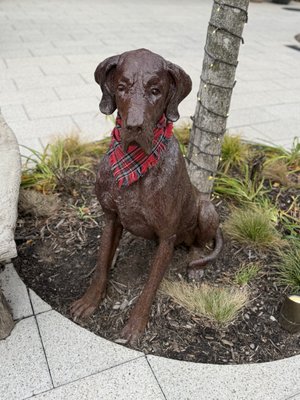 Belmont Park Village by null