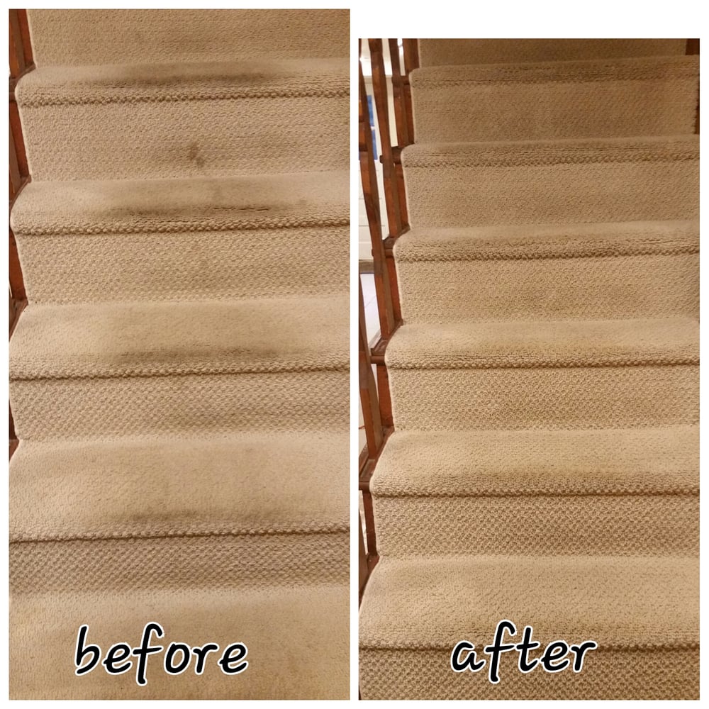 All-Star Cleaning - upholstery in Wilmington, DE