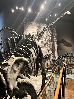 Natural History Museum of Utah by null